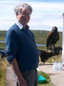 Harris Hawk on Lewis